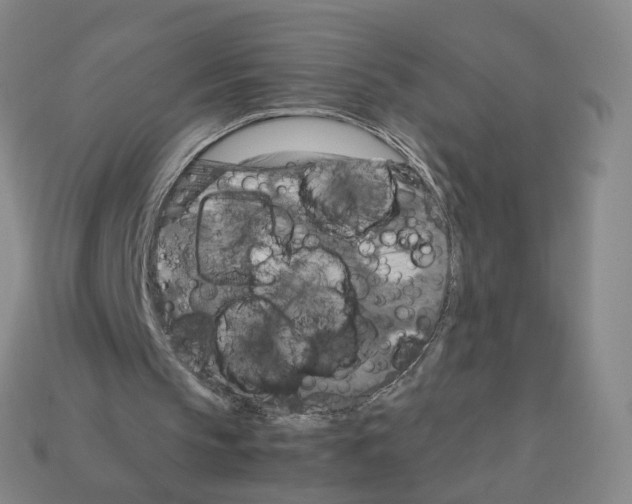 X0000111900145200909071143