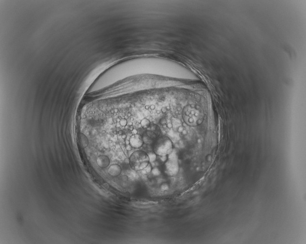 X0000111900147200909071143