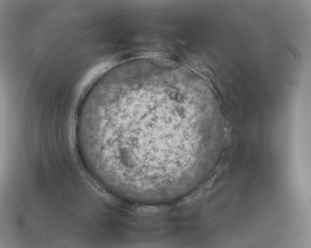 X0000111900149200909071143