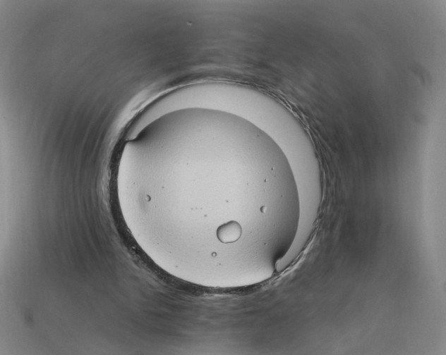 X0000111900150200909071143