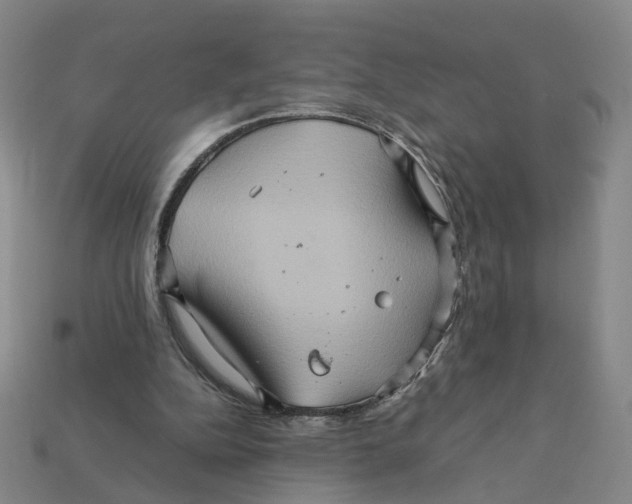 X0000111900152200909071143