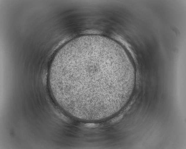 X0000111900153200909071143