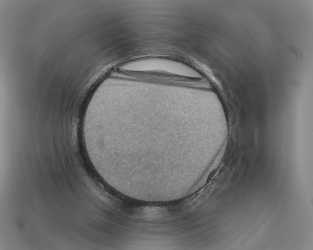 X0000111900154200909071143