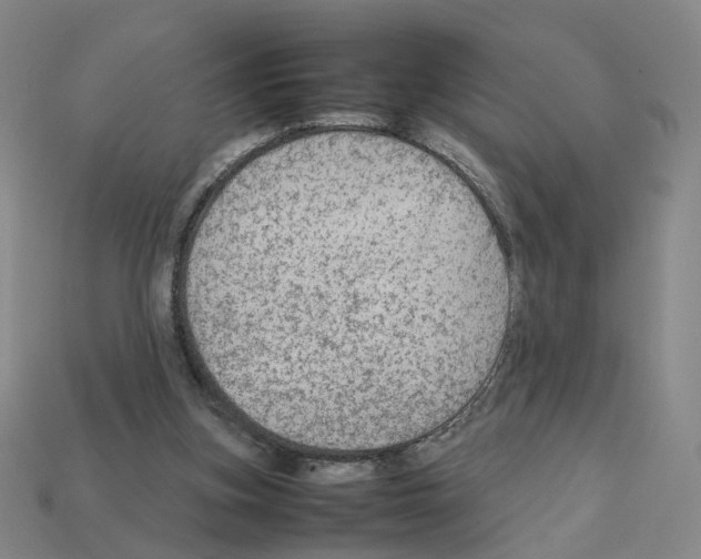 X0000111900155200909071143