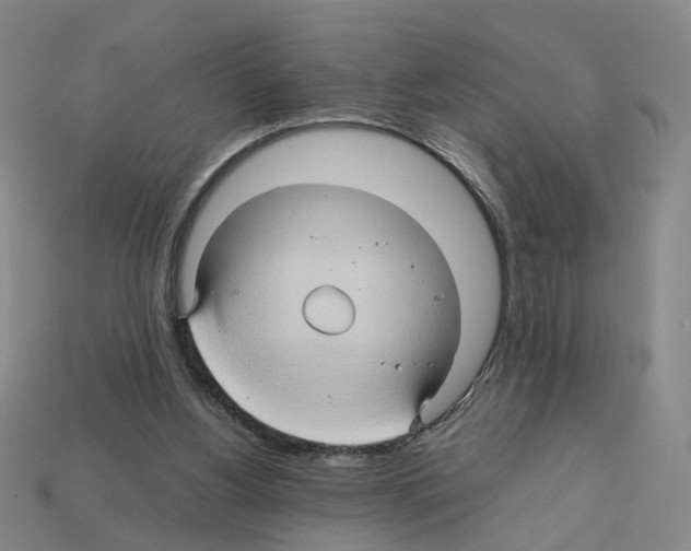 X0000111900156200909071143