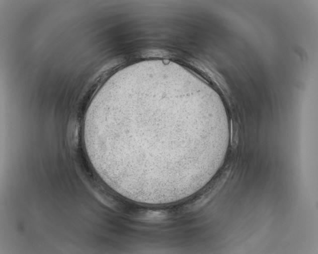 X0000111900157200909071143