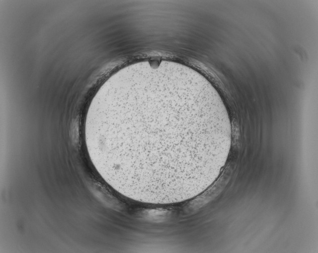 X0000111900158200909071143