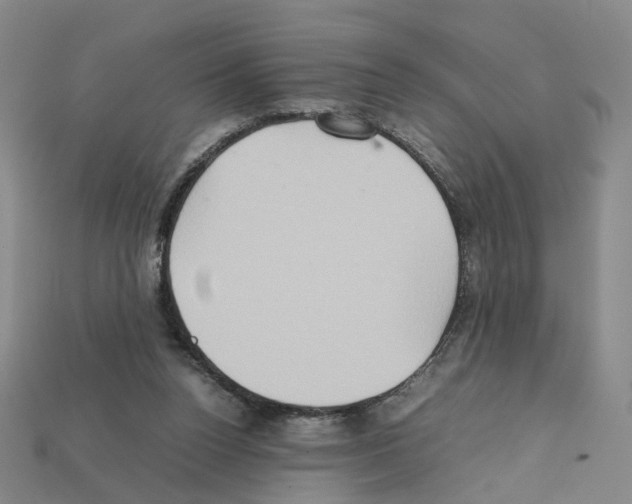 X0000111900160200909071143