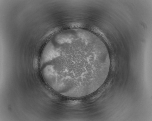 X0000111900161200909071143