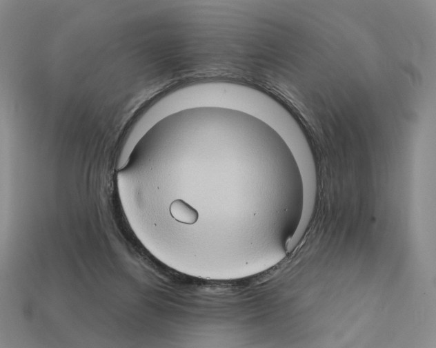 X0000111900164200909071143