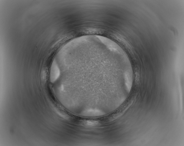 X0000111900165200909071143