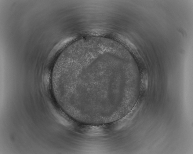 X0000111900166200909071143