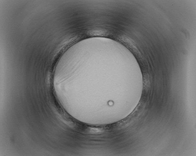 X0000111900167200909071143