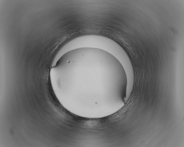 X0000111900168200909071143