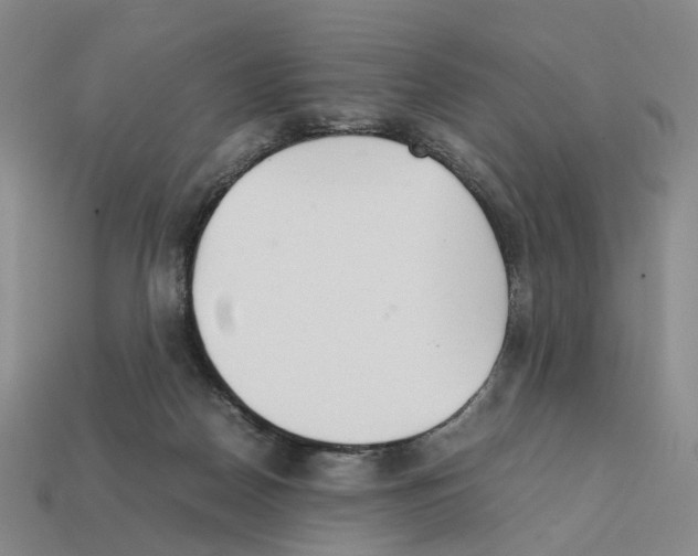 X0000111900170200909071143