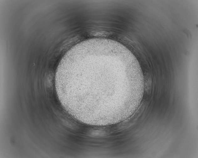 X0000111900175200909071143