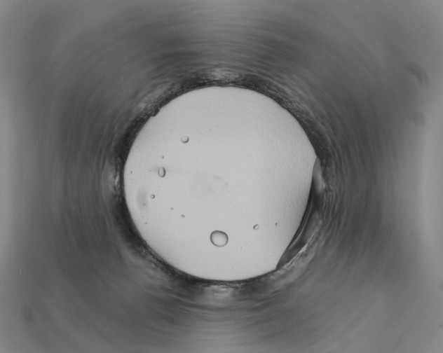 X0000111900176200909071143