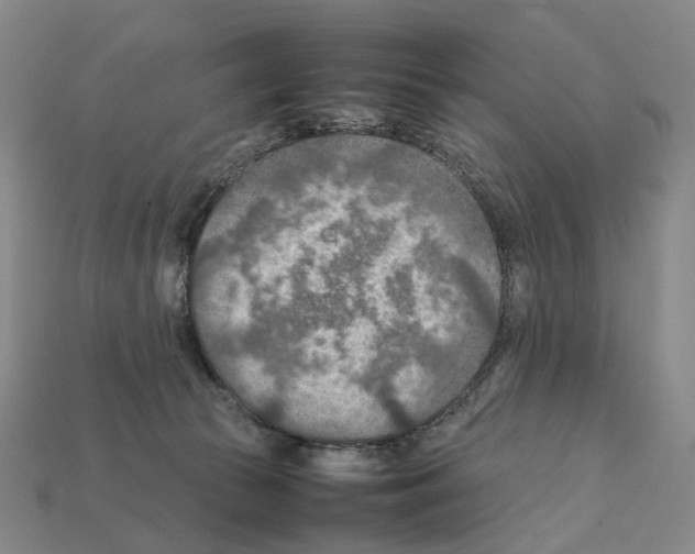 X0000111900177200909071143