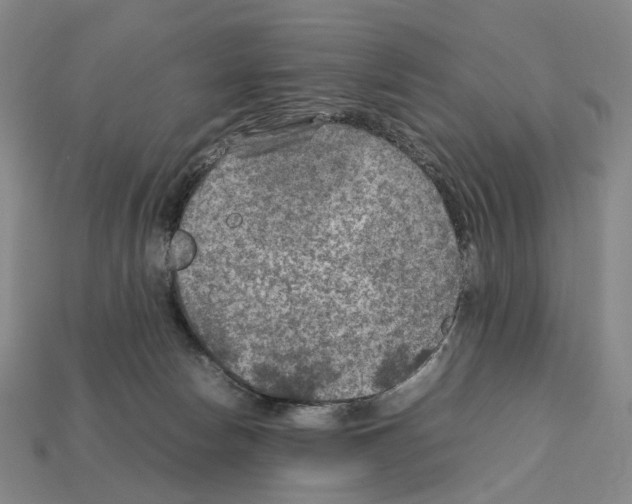 X0000111900178200909071143