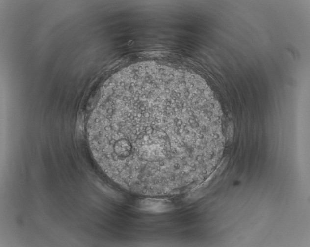 X0000111900179200909071143