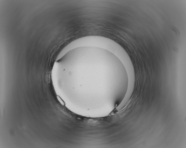 X0000111900180200909071143