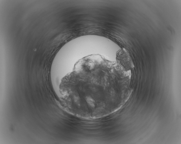 X0000111900181200909071143