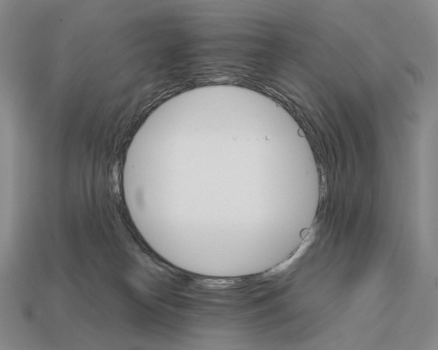 X0000111900182200909071143