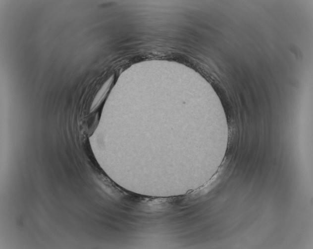 X0000111900186200909071144