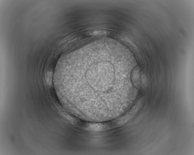 X0000111900189200909071144