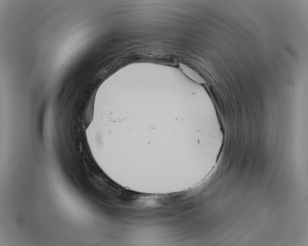 X0000111900190200909071144