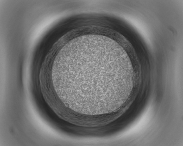 X0000111900191200909071144