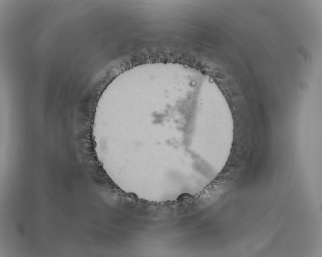 X0000111900192200909071144