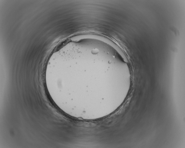 X0000111900193200909071143