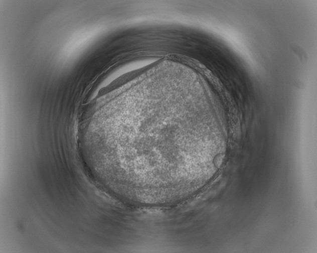 X0000111900194200909071143