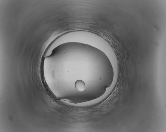 X0000111900195200909071143