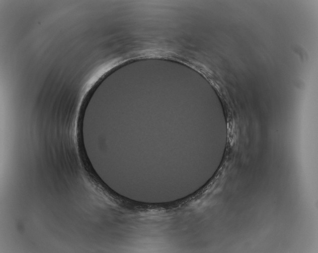 X0000111900196200909071143