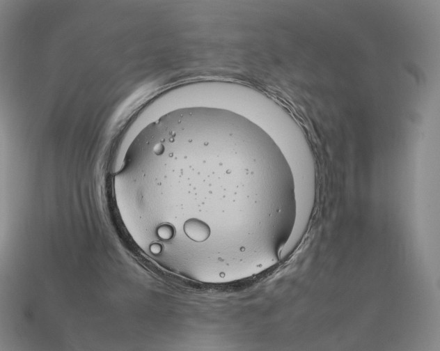 X0000111900197200909071143