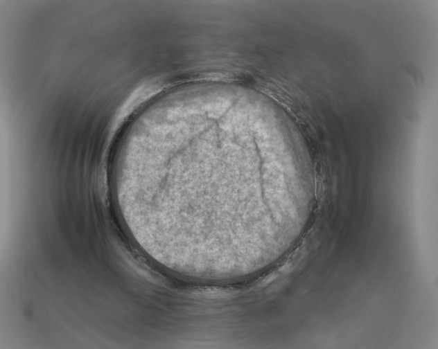 X0000111900198200909071143