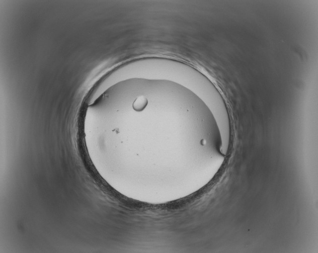 X0000111900199200909071143