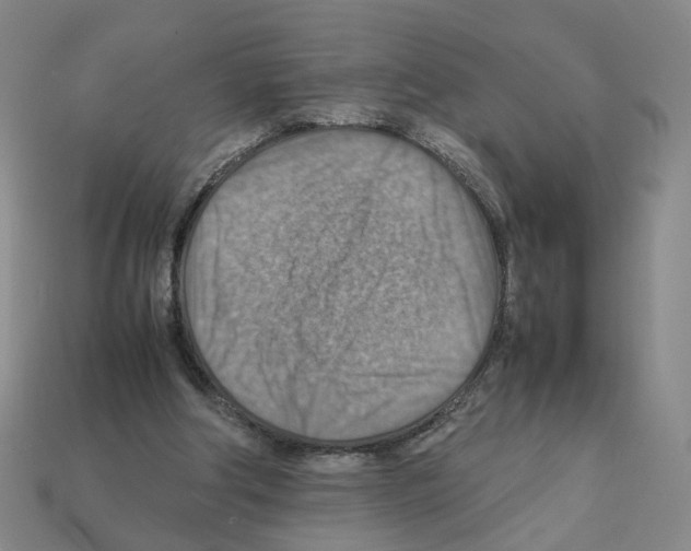 X0000111900202200909071143