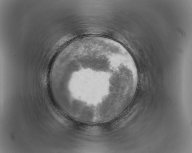 X0000111900203200909071143