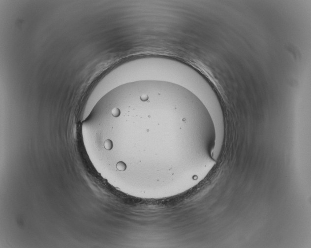 X0000111900205200909071143