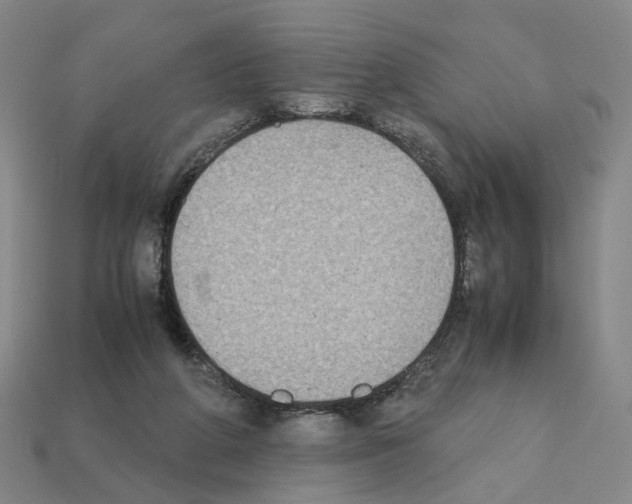 X0000111900210200909071143