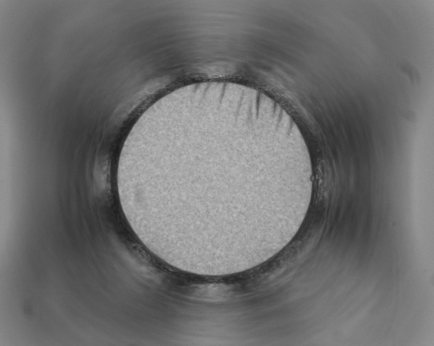 X0000111900212200909071143