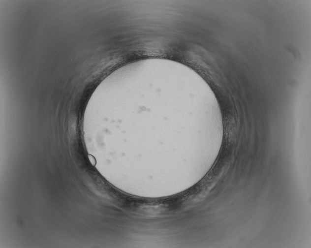 X0000111900213200909071143