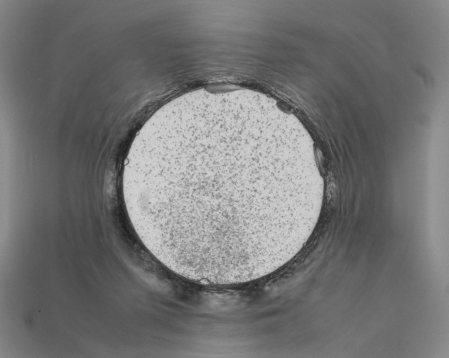 X0000111900215200909071143