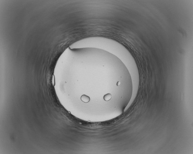 X0000111900219200909071143