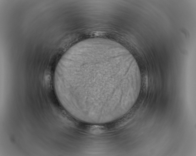 X0000111900222200909071143