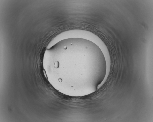 X0000111900223200909071143