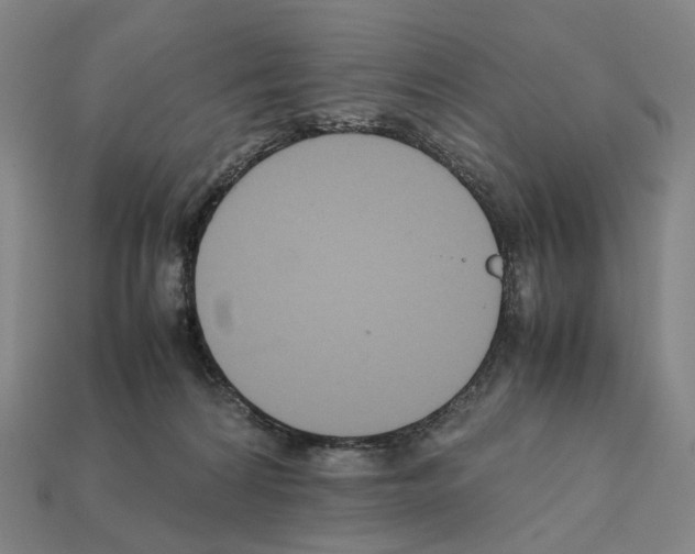 X0000111900224200909071143